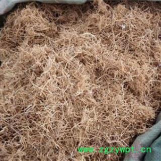 徐长卿 水洗山东统货图3