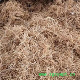 徐长卿 水洗山东统货图4