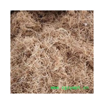 徐长卿 水洗山东统货