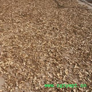 白术无硫货两年大统片 统 产地 河北省保定市定州市 库存 50000公斤可售图4