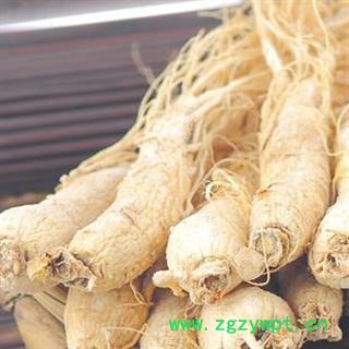 人参60支 生晒参60支 标准60支 足干道地药材 产地 吉林省白山市抚松县图3