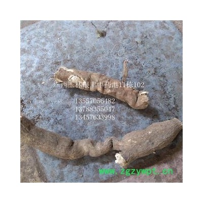 雪里开 统货 产地 广西壮族自治区玉林市市辖区