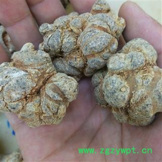 三七18头 水洗三七18头精品 标准1斤18个 足干 未打蜡 ( 下单送量勺 ) 产地直销 道地药材 云南省文山壮族苗族自治州文山县图3