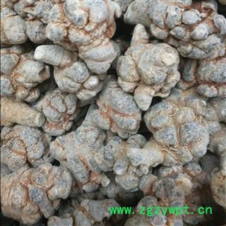 三七18头 水洗三七18头精品 标准1斤18个 足干 未打蜡 ( 下单送量勺 ) 产地直销 道地药材 云南省文山壮族苗族自治州文山县图4