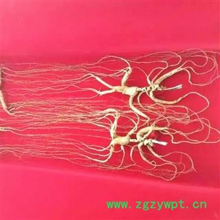 人参 吉林18年林下山参，产地直供，纯正品，假一赔十图3