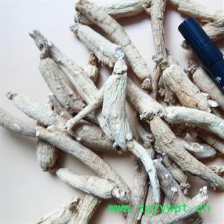 人参 无须生晒参，40--60支 产地 吉林省白山市抚松县图3