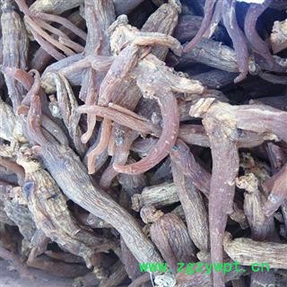 红参 5年根32支无糖红参，产地直供，假一赔十 产地 吉林省白山市抚松县图2