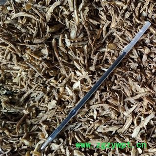 当归 当归，当归尾片，当归片， 产地 甘肃省图2