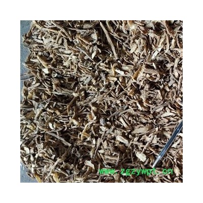 当归 当归，当归尾片，当归片， 产地 甘肃省