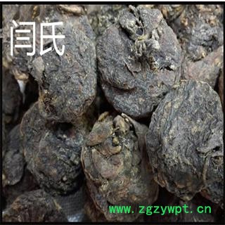 玛咖 黑玛咖一级 20个/500克 产地 云南省丽江市玉龙纳西族自治县图4