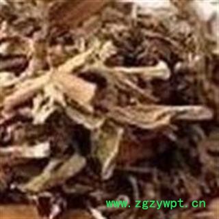 月见草 选 批发中药材 花茶 矿石 产地 东北图2