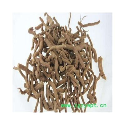 川木香 统 产地 福建省福州市市辖区