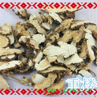 重楼 产地 四川省自贡市大安区图2