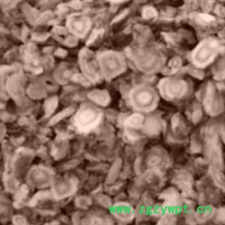 沙参 无硫北沙参 统货 产地 河北省保定市安国市图2