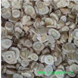 北沙参 无硫大片 产地 河北省保定市安国市图2