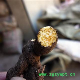 苍术 统 黑苍术 产地直销 陕西省商洛市柞水县 库存 100公斤可售图2