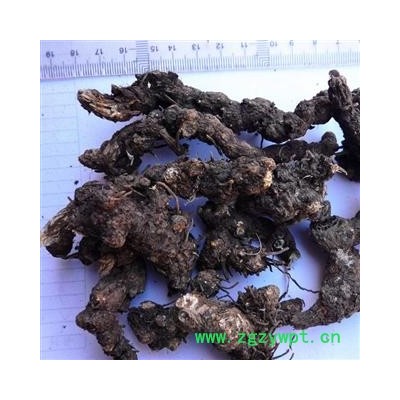 苍术 统  黑苍术 产地直销 陕西省商洛市柞水县 库存 100公斤可售