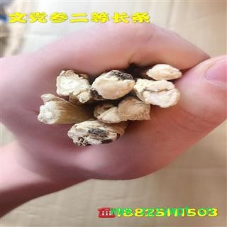 纹党参 二等3.6-4.0无硫长条 产地 甘肃省陇南市文县图4