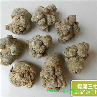 特级文山水洗三七图4