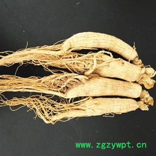 人参 生晒参30-35支6年生 产地 吉林省白山市抚松县图3