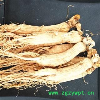 人参 生晒参30-35支6年生 产地 吉林省白山市抚松县图2