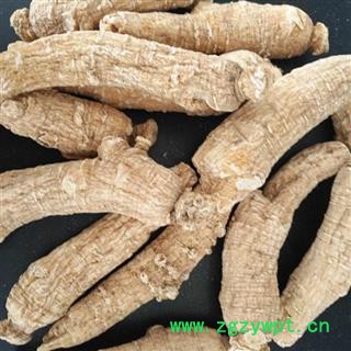 西洋参 西洋参短枝8-10克 产地 吉林省白山市抚松县图2