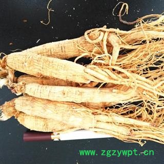 人参 生晒参45-50支6年生，纯干货，无流 产地 吉林省白山市抚松县图2