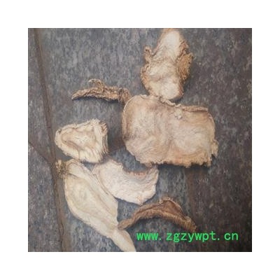 山海螺 好统货 产地 广西壮族自治区桂林市市辖区 库存 60公斤可售