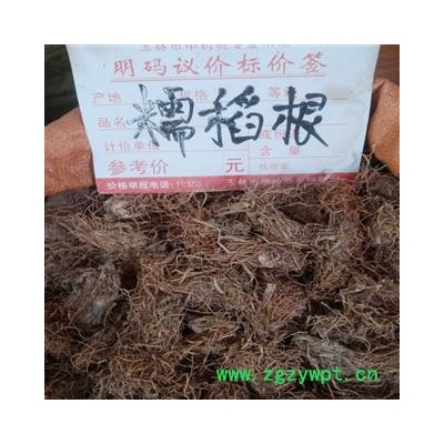 糯稻根 统货 产地 广西壮族自治区玉林市市辖区