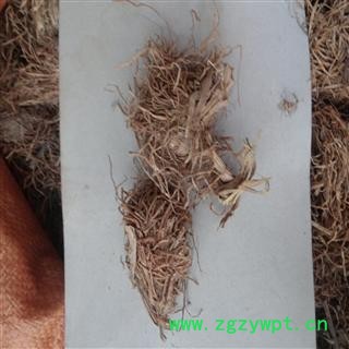 糯稻根 统货 产地 广西壮族自治区玉林市市辖区图2