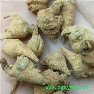 三七 水洗三七无数头 足干 未打蜡  ( 下单送量勺 ) 产地 云南省文山壮族苗族自治州文山市图4