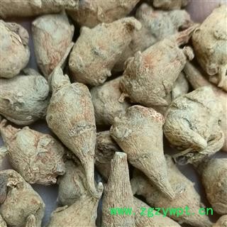 三七 水洗三七无数头 足干 未打蜡  ( 下单送量勺 ) 产地 云南省文山壮族苗族自治州文山市图3