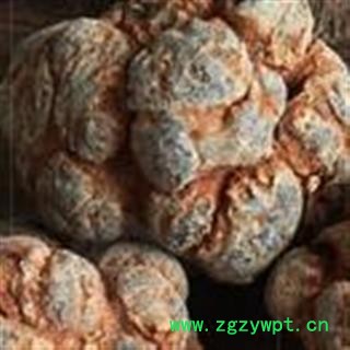 三七28头 水洗三七 标准28头春七  水洗 未打蜡 （1斤正好28个）( 下单送量勺 ) 产地直销 云南省文山壮族苗族自治州文山县图2