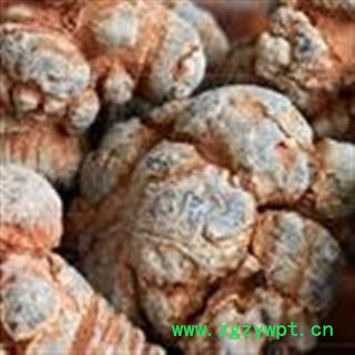 三七28头 水洗三七 标准28头春七  水洗 未打蜡 （1斤正好28个）( 下单送量勺 ) 产地直销 云南省文山壮族苗族自治州文山县图3