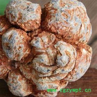 三七25头 水洗三七 标准25头春七 水洗  足干 未打蜡 （1斤正好25个） ( 下单送量勺 )产地直销 云南省文山壮族苗族自治州文山县图3