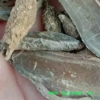 郁金 优质 产地 广西壮族自治区钦州市灵山县图3