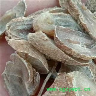 郁金 优质 产地 广西壮族自治区钦州市灵山县图2