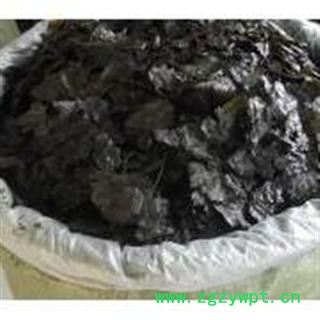 毛冬青 统 产地 广东省河源市龙川县图3