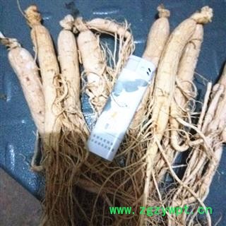 生晒参 生晒参35支，无流，产地直供，假一赔十 产地 吉林省白山市抚松县图3