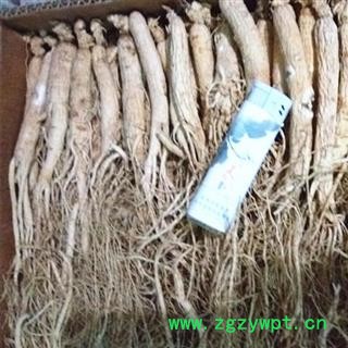 生晒参 生晒参35支，无流，产地直供，假一赔十 产地 吉林省白山市抚松县图2