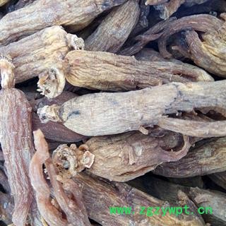 红参 纯5年根无糖红参，20支，产地直供，假一赔十 产地 吉林省白山市抚松县图3