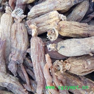 红参 纯5年根无糖红参，20支，产地直供，假一赔十 产地 吉林省白山市抚松县图2