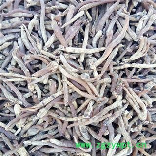 红参 无糖红参80支，产地直供，假一赔十 产地 吉林省白山市抚松县图3