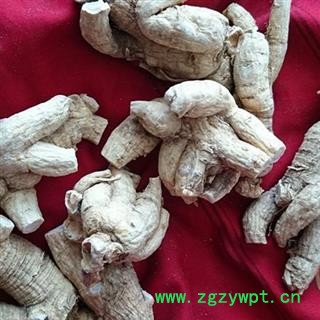 西洋参 50克一支 大粒头，吉林产地直供，纯正品，假一赔十图3