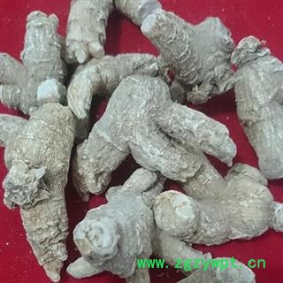 西洋参 纯正美国花旗参每支单重20克左右 产地 海外美国图2