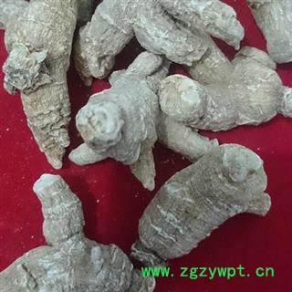 西洋参 纯正美国花旗参每支单重20克左右 产地 海外美国图3