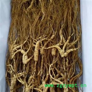 人参 长白山20年林下山参 产地 吉林省白山市抚松县图2