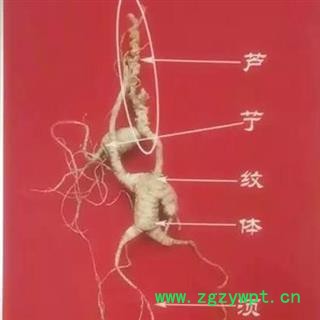 人参 纯正长白山百年野山参，产地直供，假一赔十 产地 吉林省白山市抚松县图2