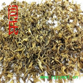 手掌参 手掌参统货图4