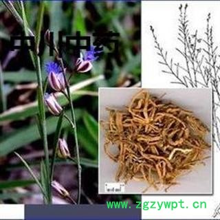 远志 山西统货 库存5000可售图3